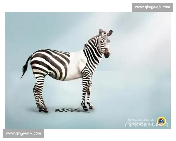 激发创意智慧 引领品牌传播的广告策划大赛